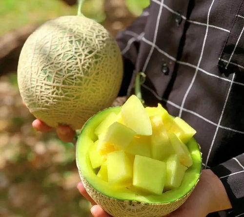 娱乐吃瓜八瓜,吃瓜八瓜，一网打尽明星幕后故事  第2张